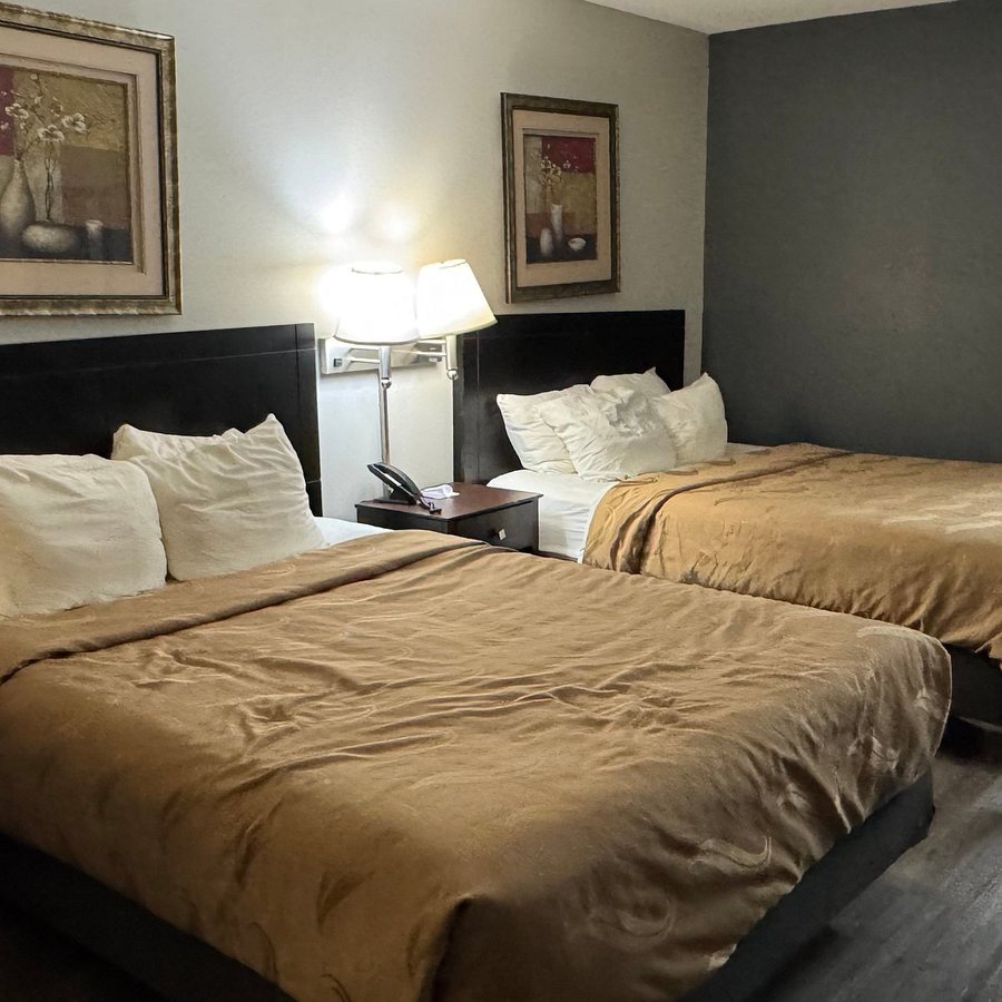 Quality Inn — Guest room