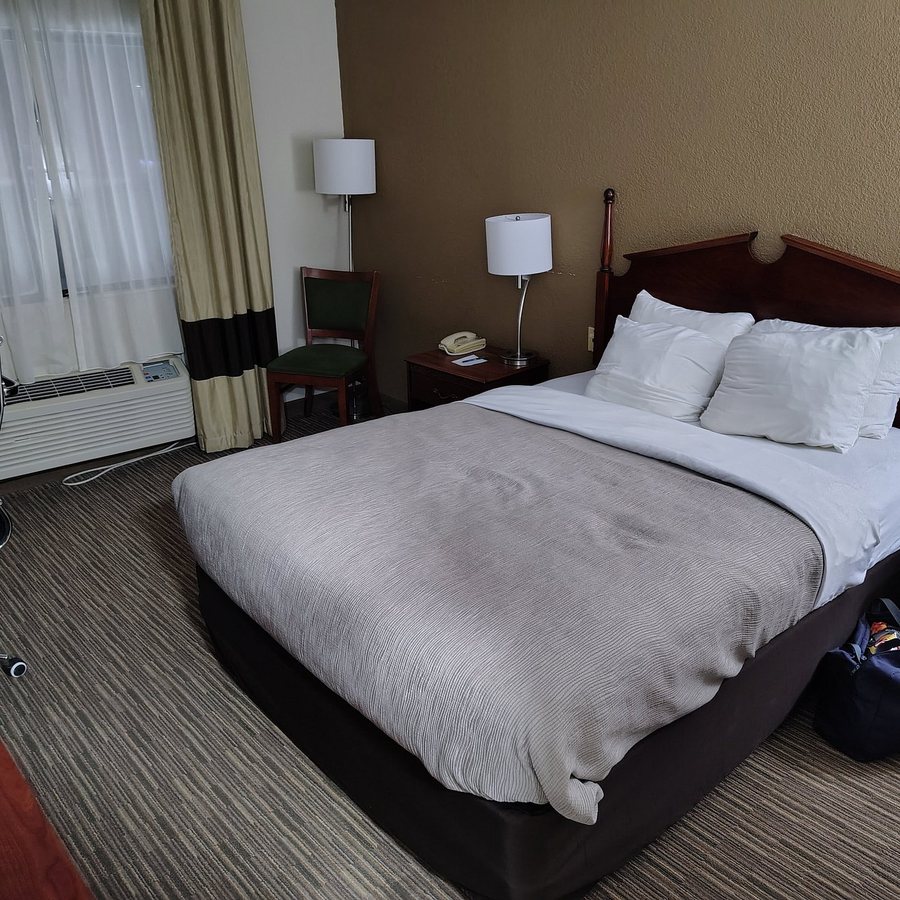 Quality Inn — Guest room