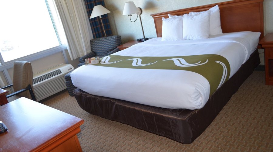 Quality Inn — Guest room
