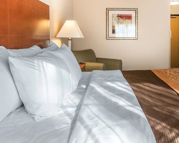 Quality Inn — Guest room
