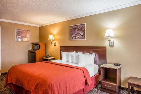 Quality Inn — Guest room