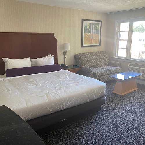 Quality Inn Conference Center — Guest room