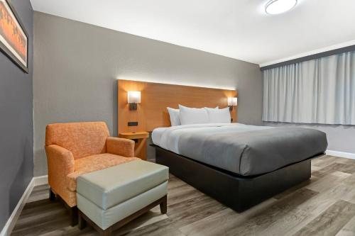 Quality Inn Conference Center Tampa — Guest room