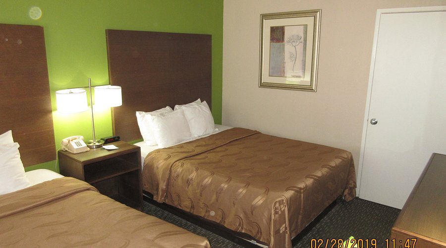 Quality Inn Flagstaff East I 40 — Guest room