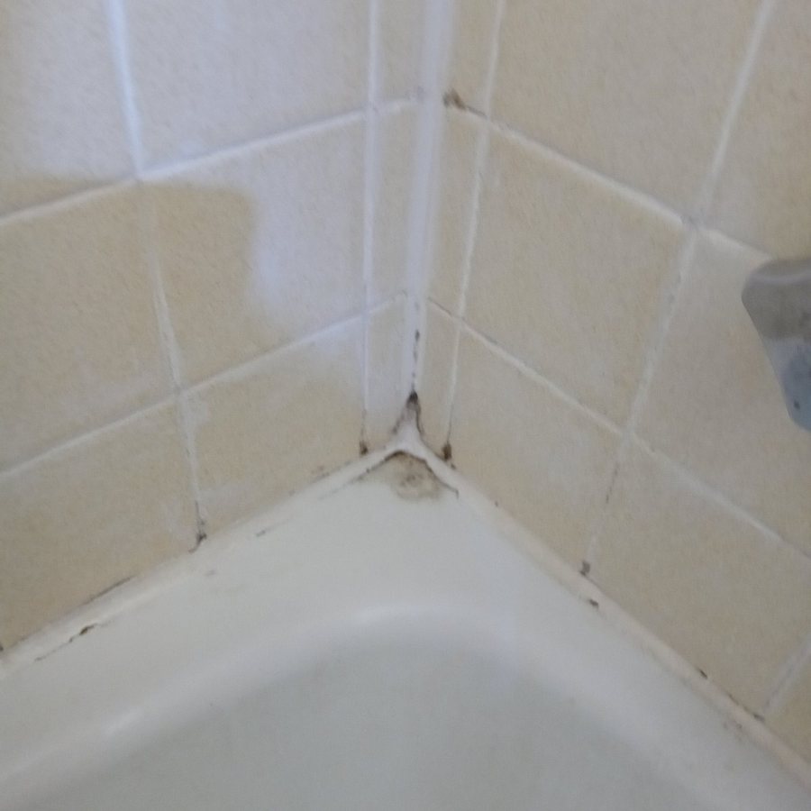 Quality Inn Forsyth Near GA Public Safety Training Center — Bathroom
