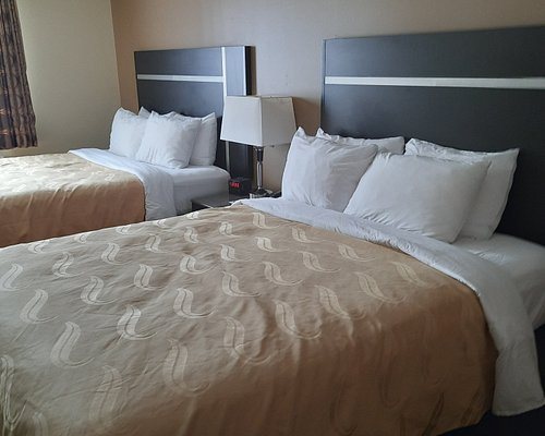 Quality Inn — Guest room