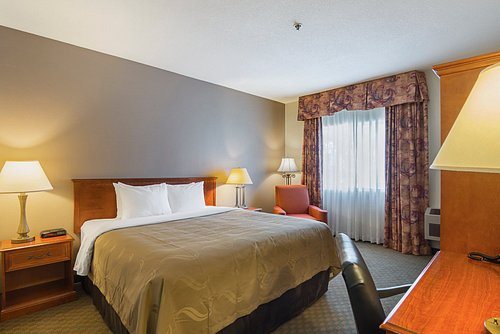 Quality Inn Fresno Yosemite Airport — Guest room