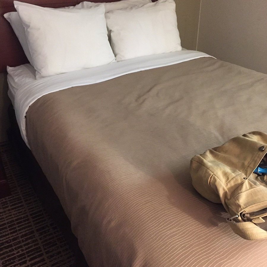 Quality Inn Gallatin Nashville Metro — Guest room
