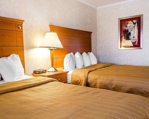 Quality Inn Harrisburg Hershey Area — Guest room