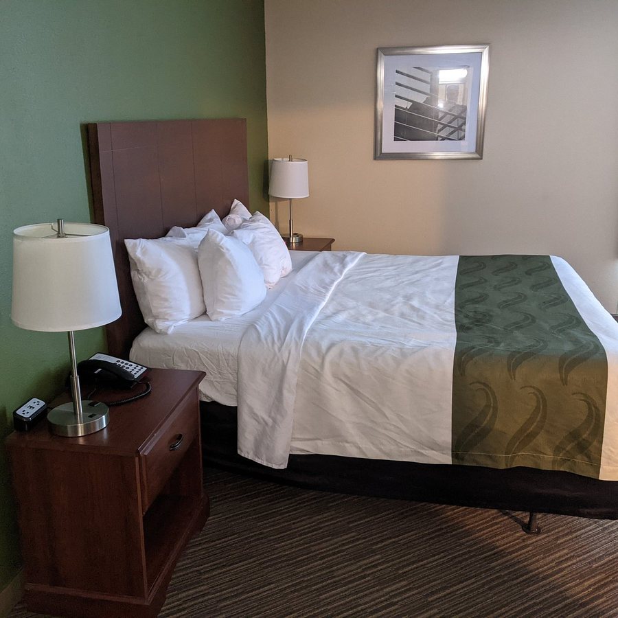 Quality Inn — Guest room