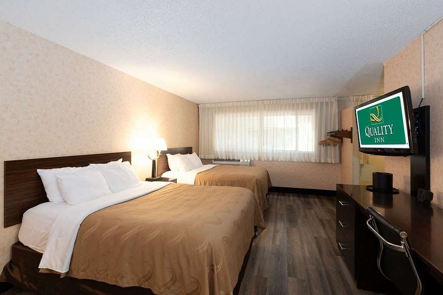 Quality Inn — Guest room
