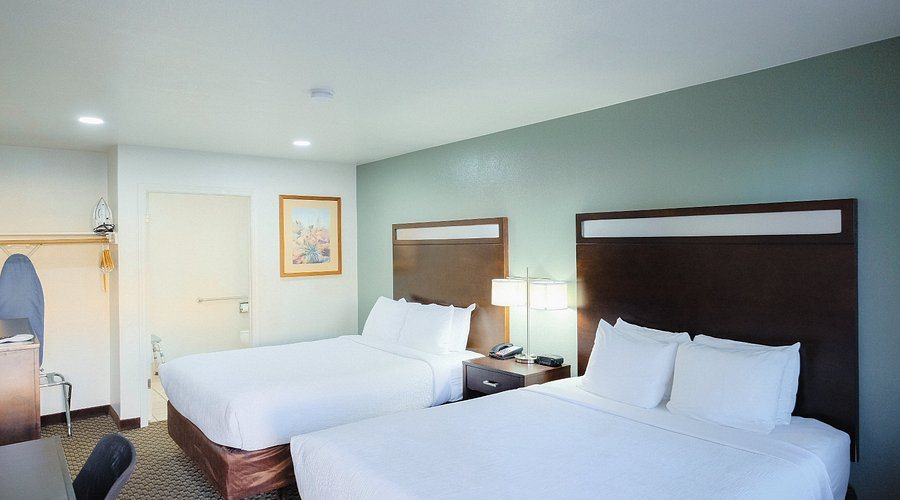 Quality Inn Holbrook Near Petrified Forest — Guest room