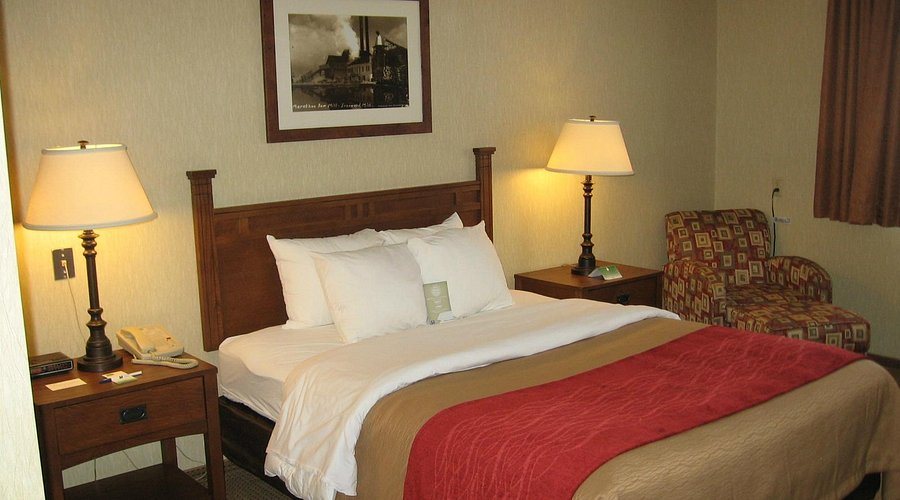 Quality Inn — Guest room