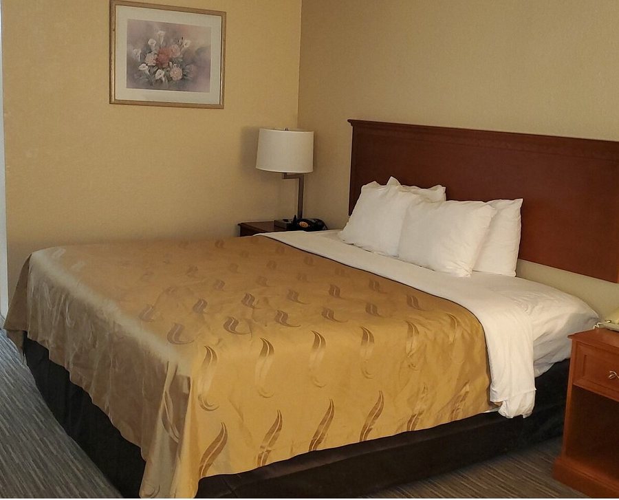 Quality Inn Kinston Hwy 70 — Guest room