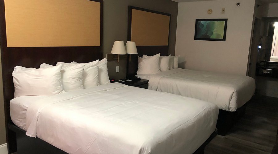 Quality Inn Kissimmee West Lake Buena Vista South — Guest room