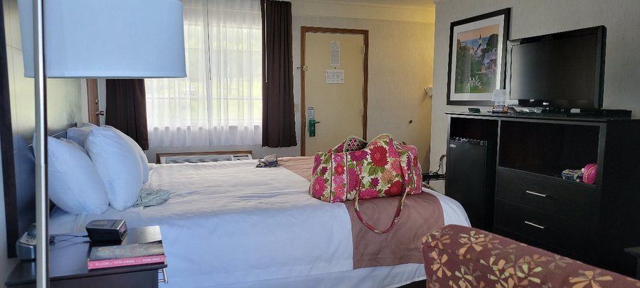 Quality Inn Lakefront — Guest room