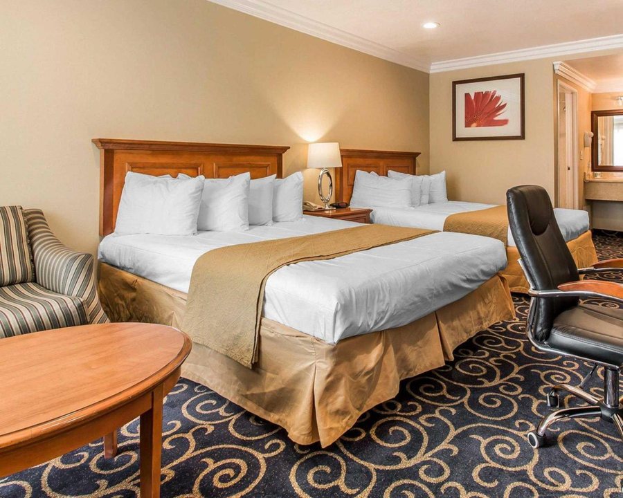 Quality Inn Long Beach Airport — Guest room