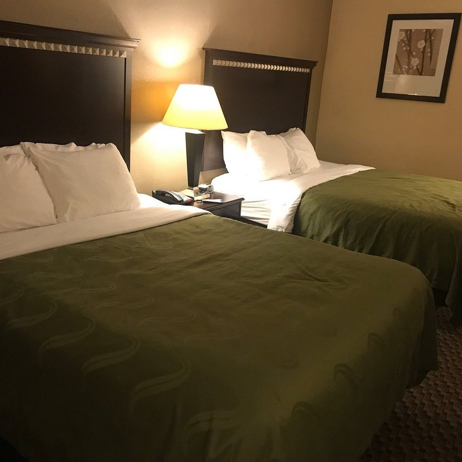Quality Inn — Guest room