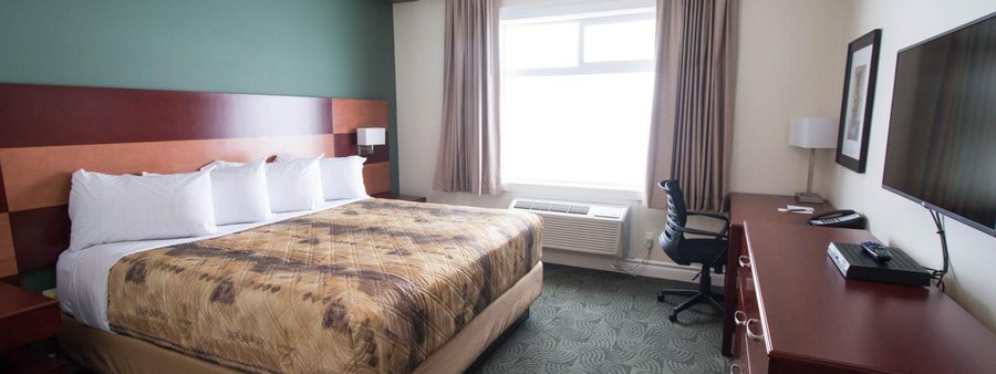 Quality Inn Manning I 95 — Guest room