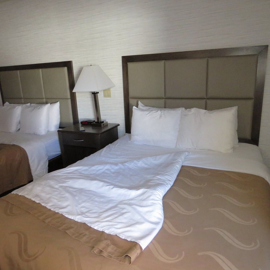 Quality Inn Moab Slickrock Area — Guest room