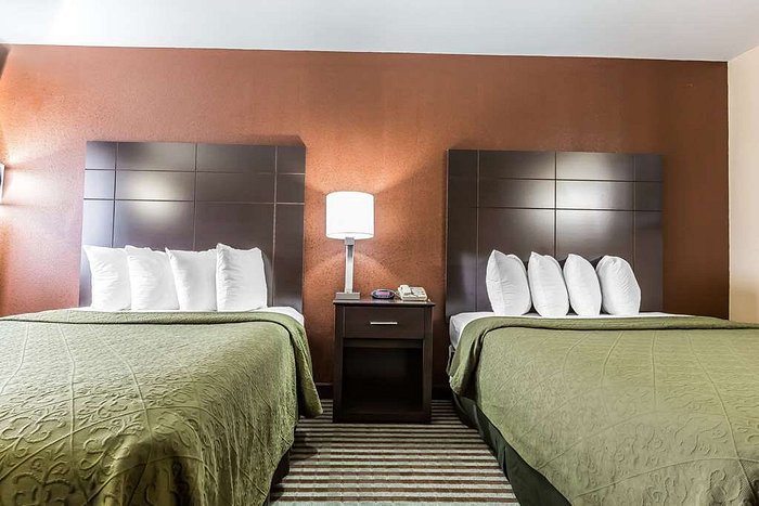Quality Inn Mount Vernon At I 57 And I 64 — Guest room