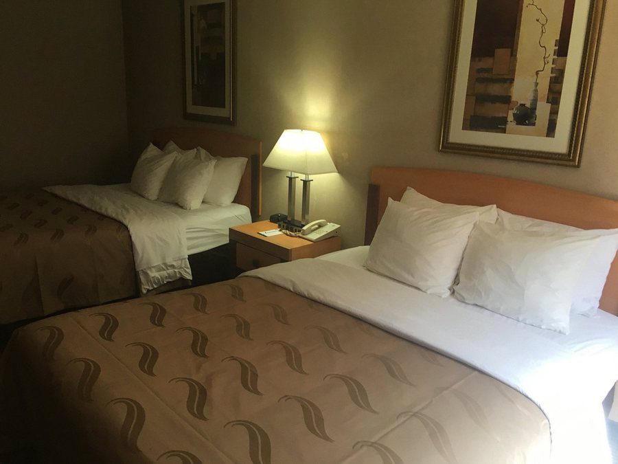 Quality Inn Nashville Bloomington — Guest room