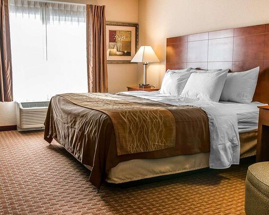 Quality Inn Near Interstate I94 — Guest room