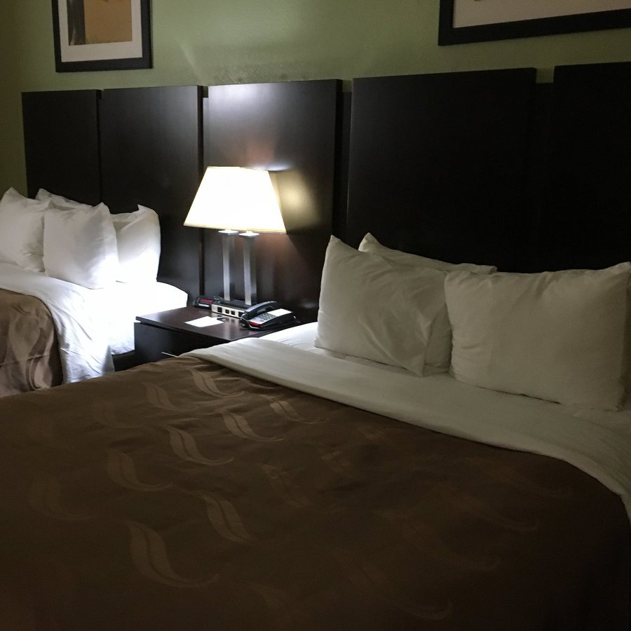 Quality Inn near Seaworld — Guest room