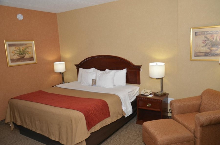 Quality Inn Near Walden Galleria Mall — Guest room