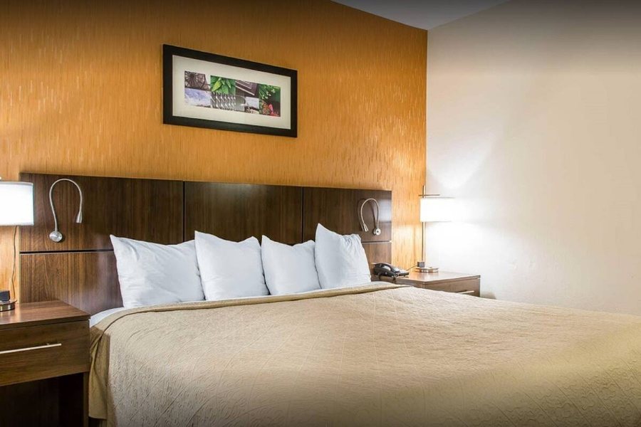Quality Inn — Guest room
