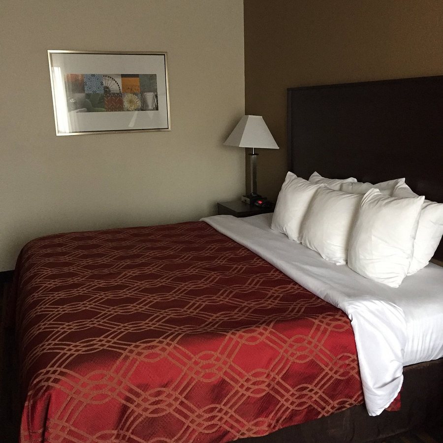 Quality Inn Noblesville — Guest room