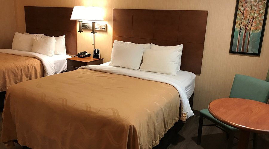 Quality Inn of Byron — Guest room