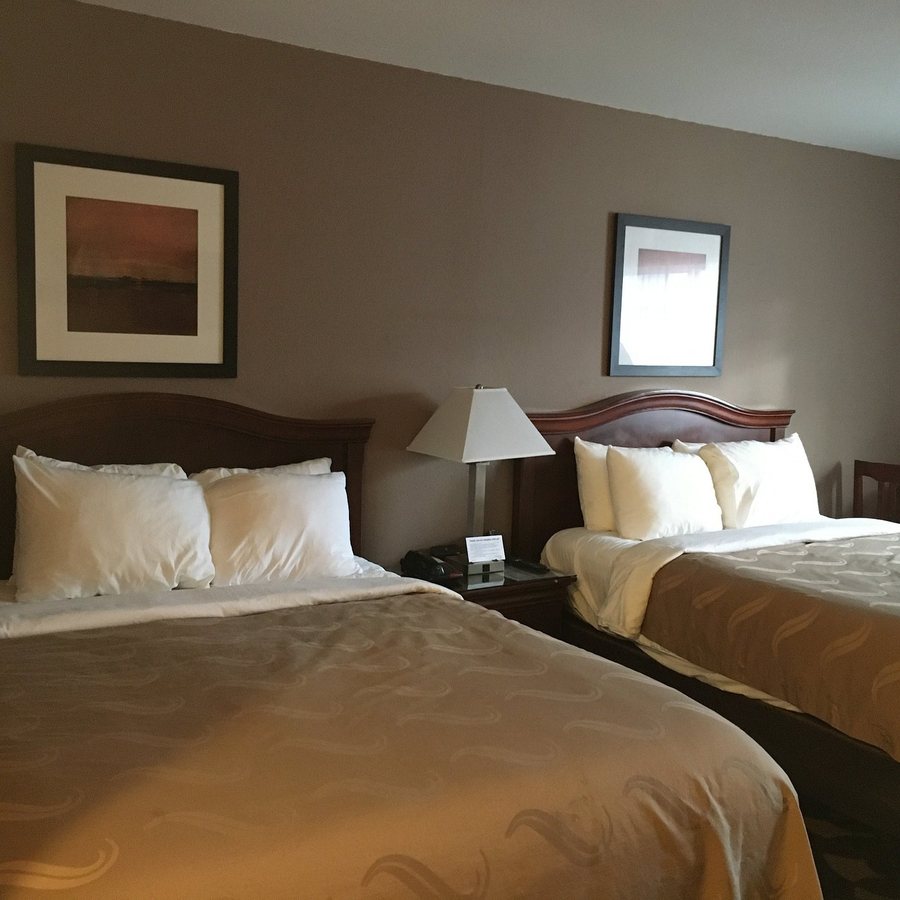 Quality Inn Paradise Creek — Guest room