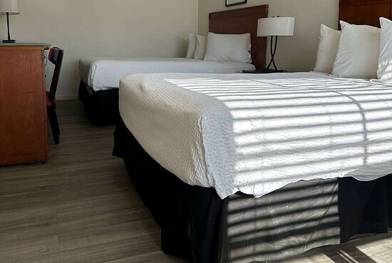 Quality Inn Parker — Guest room