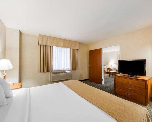 Quality Inn Petaluma Sonoma — Guest room