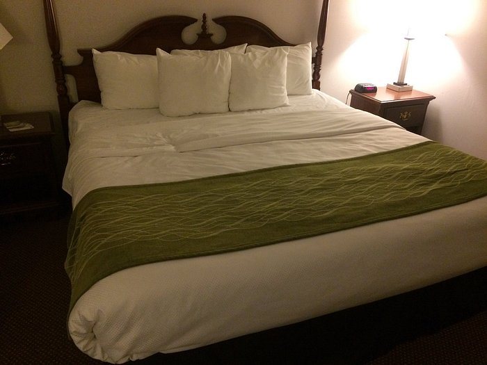 Quality Inn Petoskey Harbor Springs — Guest room