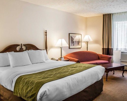 Quality Inn Petoskey — Guest room
