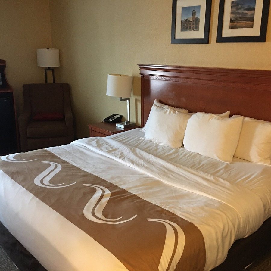 Quality Inn — Guest room