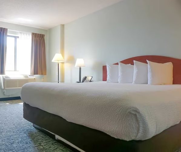 Quality Inn — Guest room