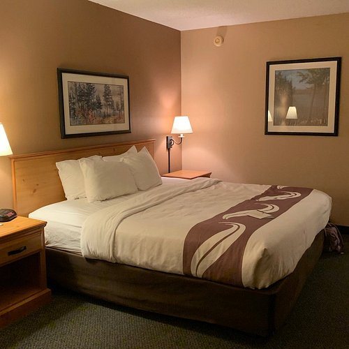 Quality Inn — Guest room