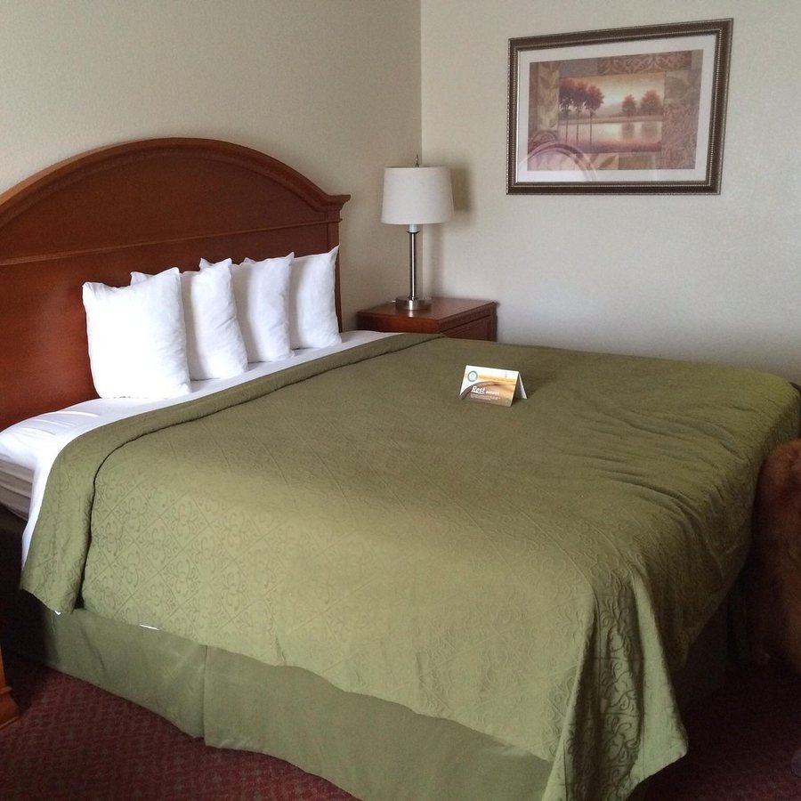 Quality Inn Rock Hill Northeast I 77 — Guest room