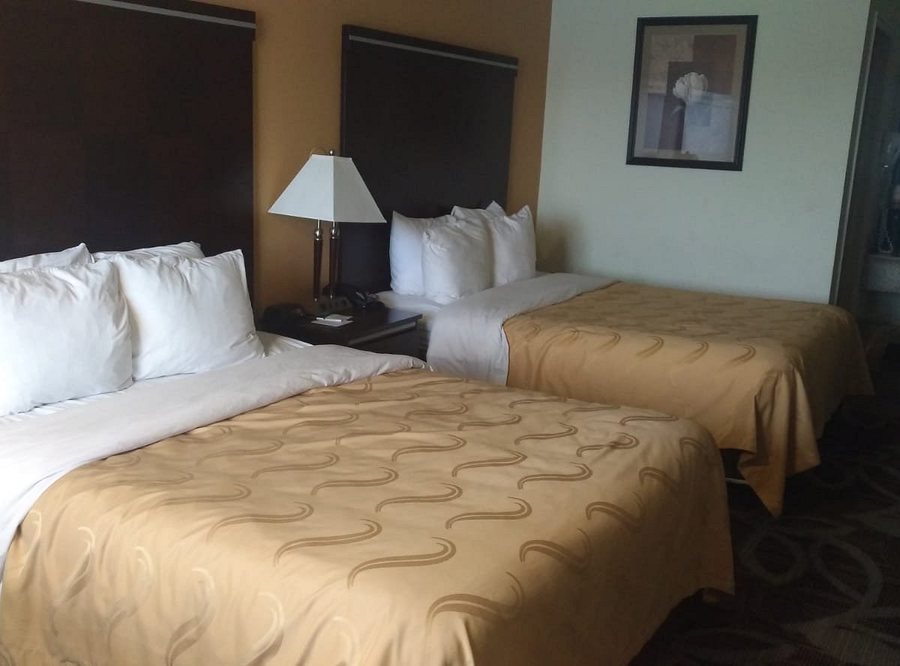 Quality Inn Saint George South Bluff — Guest room
