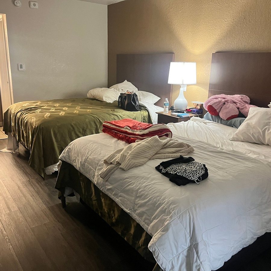 Quality Inn Saint Petersburg North Tampa Bay — Guest room
