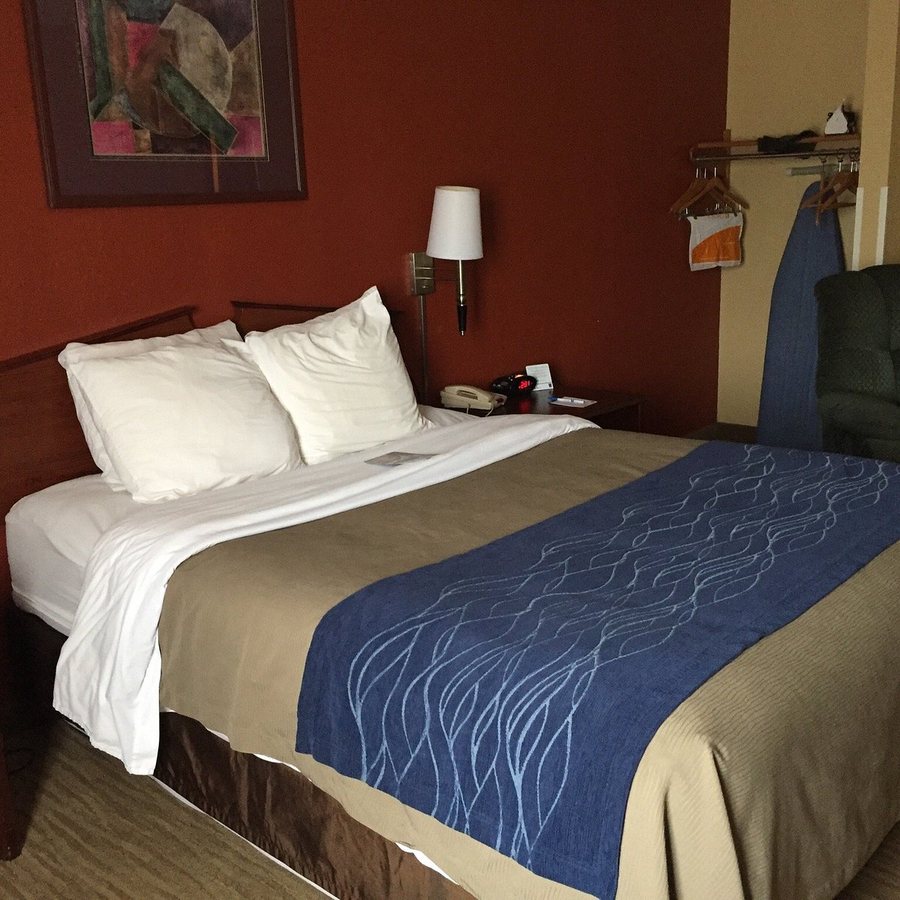 Quality Inn — Guest room