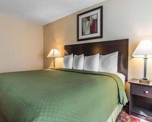 Quality Inn Shelburne Burlington — Guest room