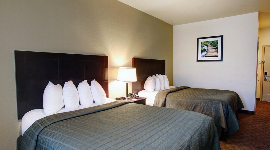 Quality Inn Stuart — Guest room