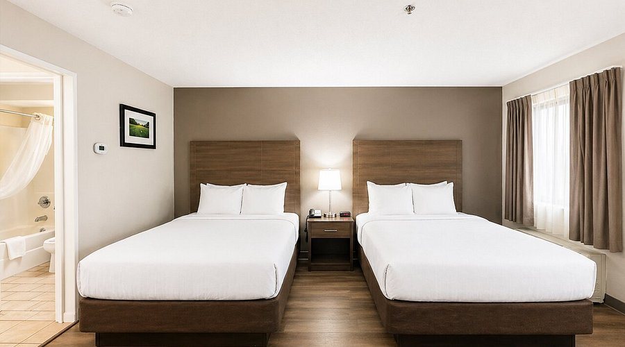 Quality Inn Suites Augusta I 20 — Guest room