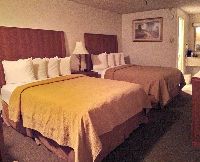 Quality Inn Suites — Guest room