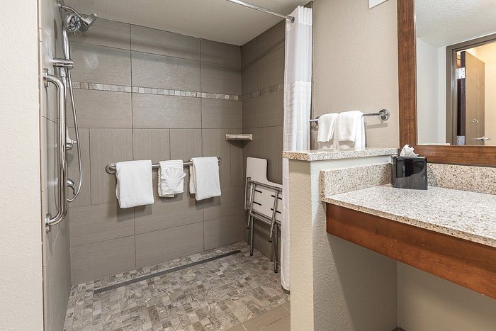 Quality Inn Suites Bay City Michigan — Bathroom