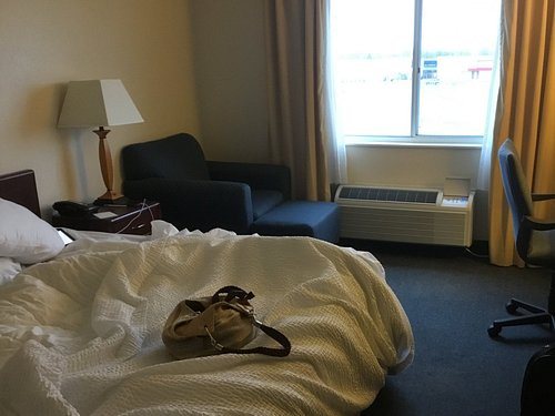 Quality Inn Suites Bay City Michigan — Guest room